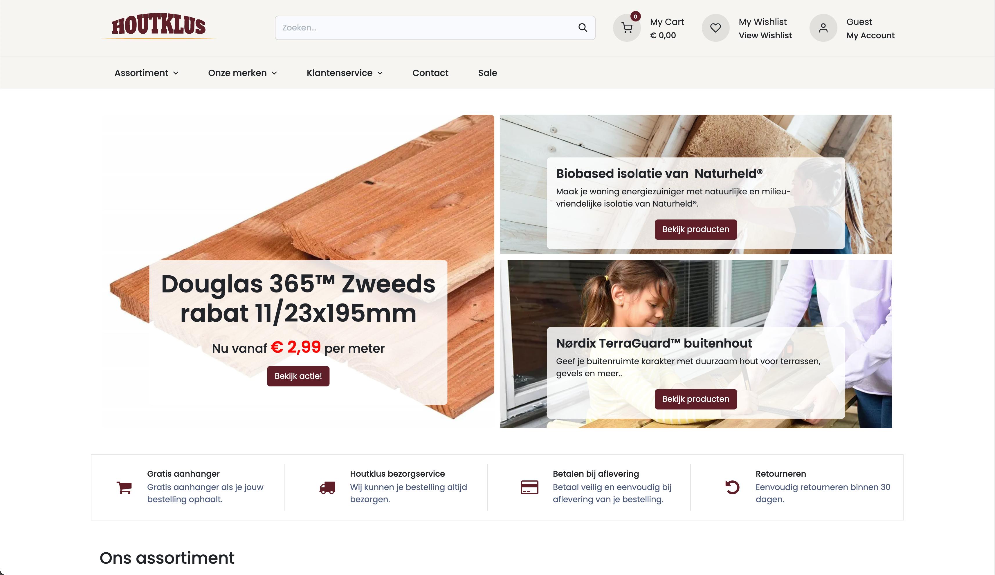 Website mockup